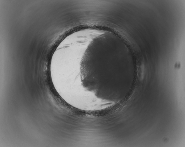 X0000112110592200909151226