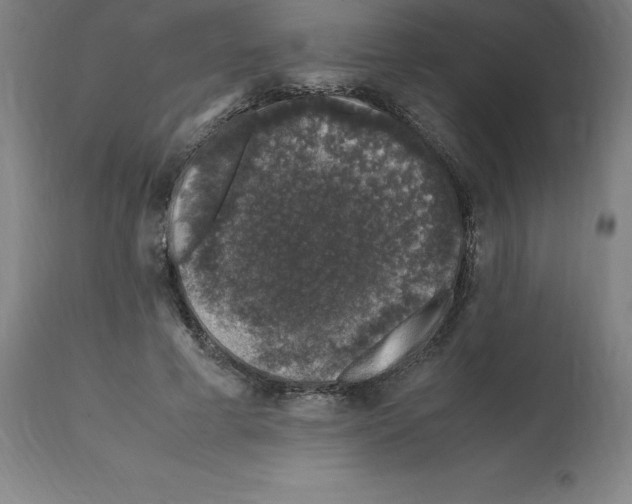 X0000112110593200909151226