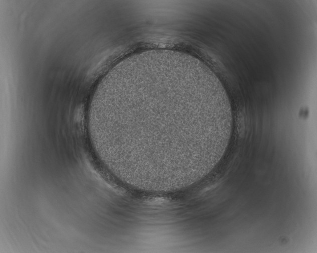 X0000112110594200909151226