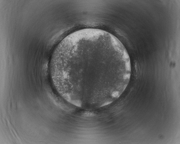 X0000112110596200909151226