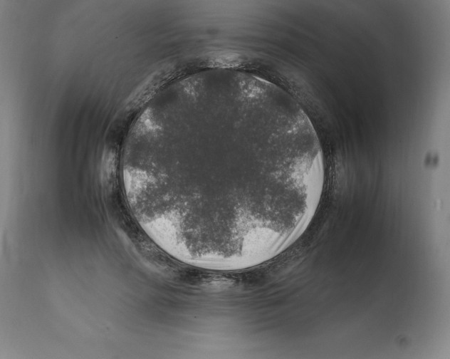 X0000112110598200909151226