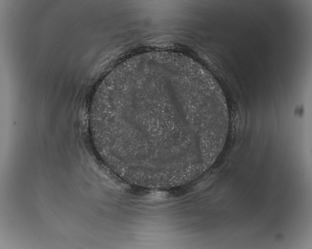 X0000112110609200909151226