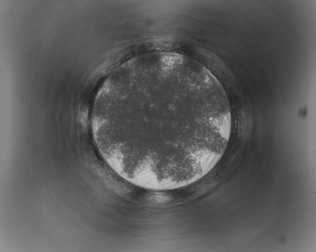 X0000112110610200909151226