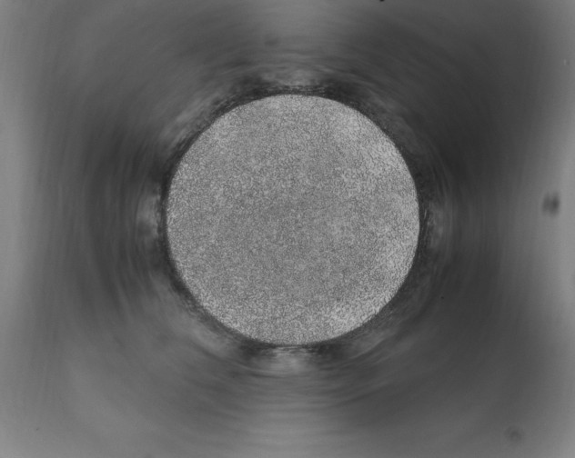 X0000112110612200909151226