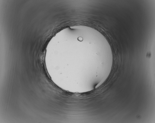 X0000112110613200909151226