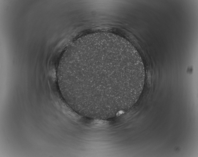 X0000112110617200909151225