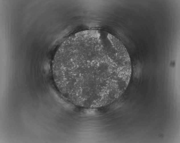 X0000112110618200909151225