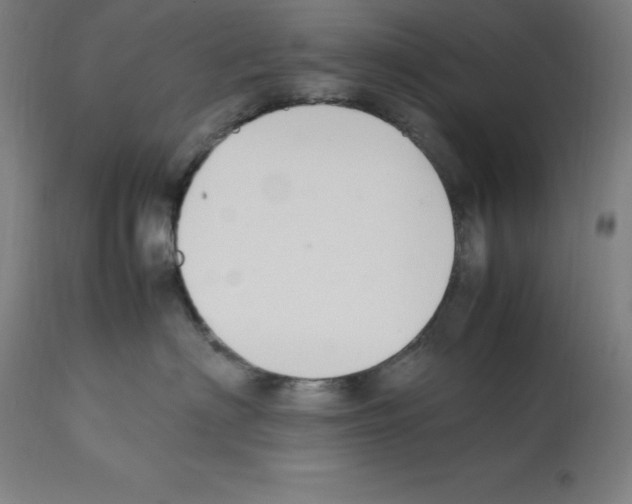 X0000112110622200909151225