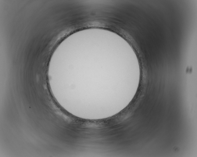 X0000112110625200909151225