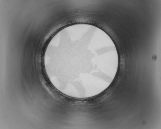X0000112110626200909151225