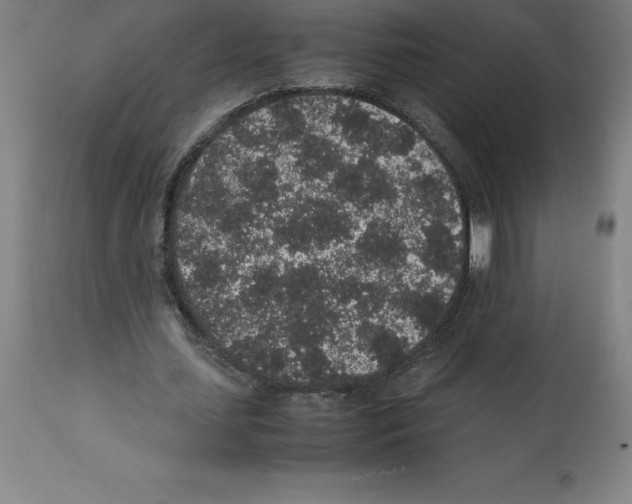 X0000112110627200909151225