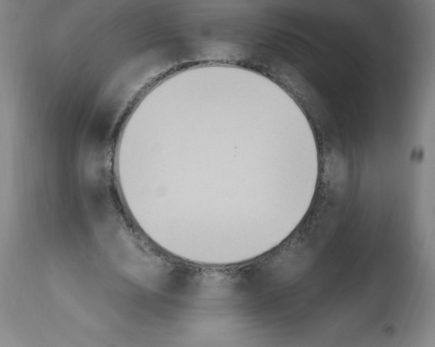 X0000112110632200909151225