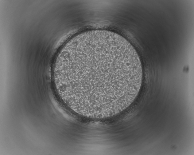X0000112110634200909151225
