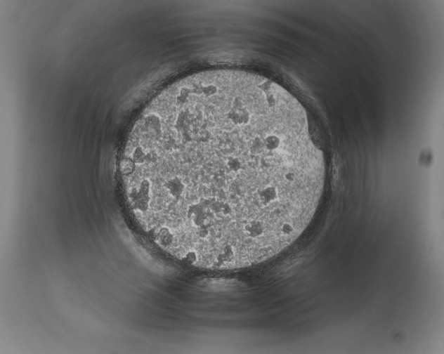 X0000112110637200909151225