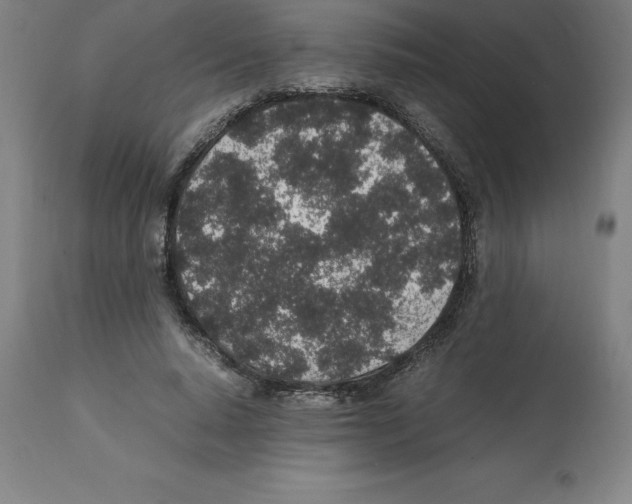 X0000112110640200909151225
