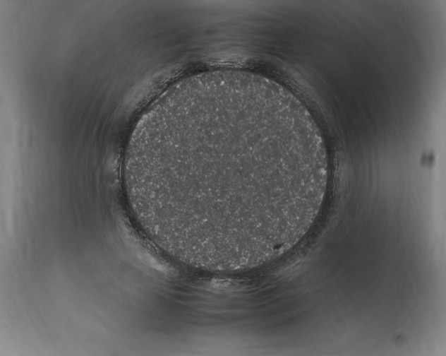 X0000112110641200909151225