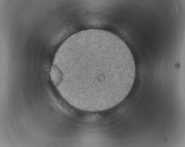 X0000112110642200909151225