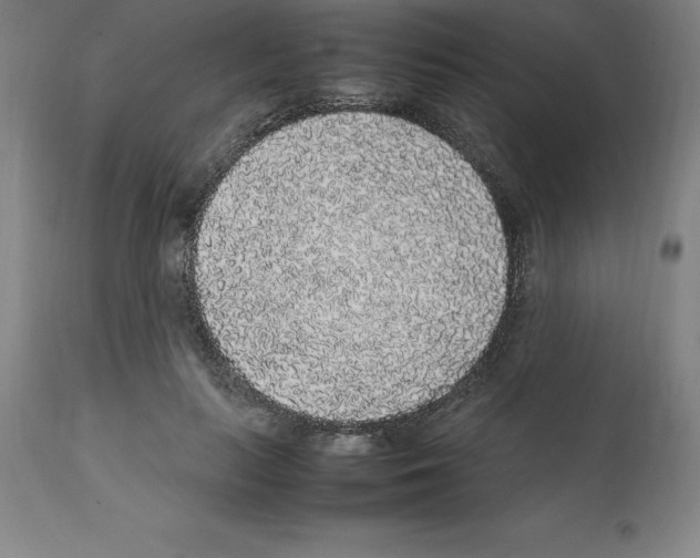 X0000112110647200909151225
