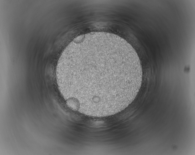 X0000112110651200909151225