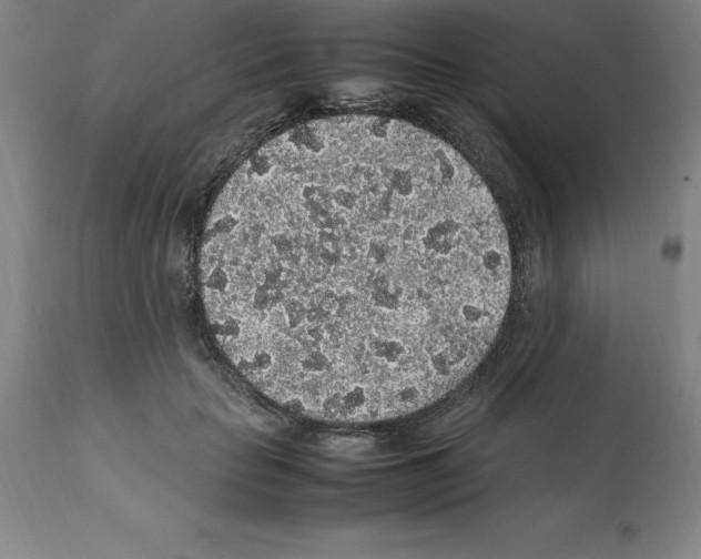 X0000112110653200909151225