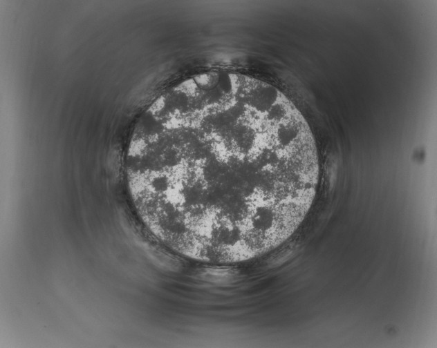 X0000112110659200909151225