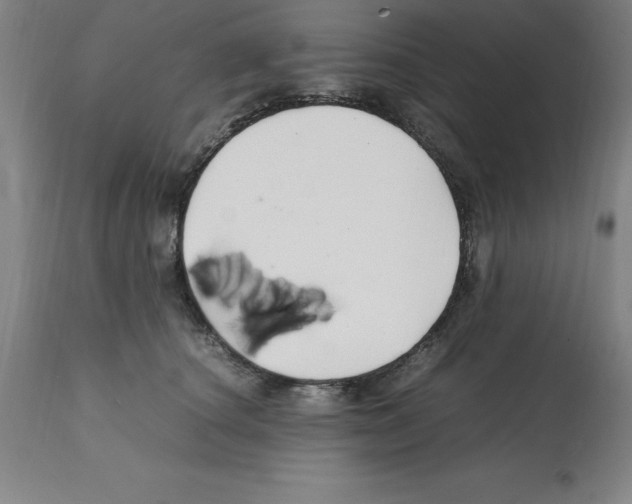 X0000112110660200909151225