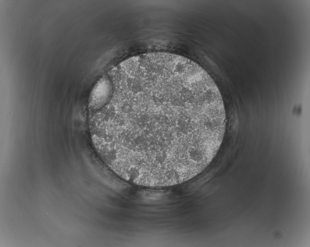 X0000112110661200909151225