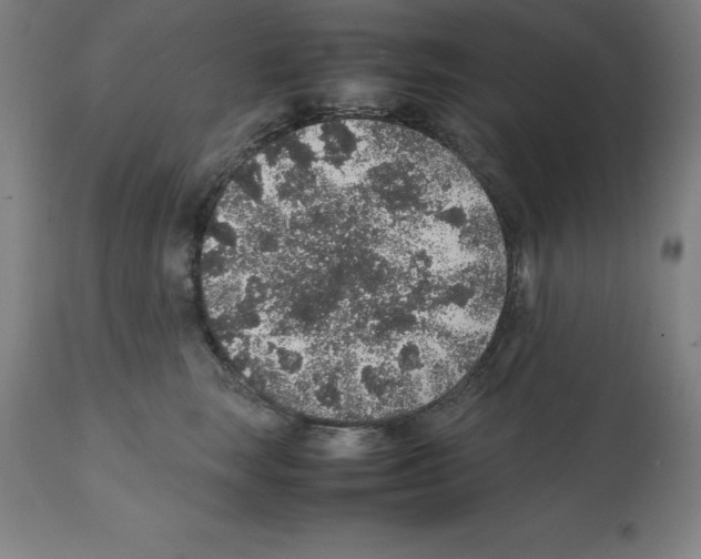 X0000112110663200909151225