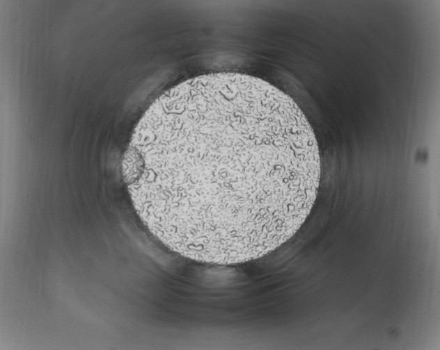 X0000112110669200909151225