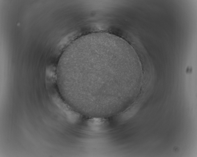 X0000112110672200909151225