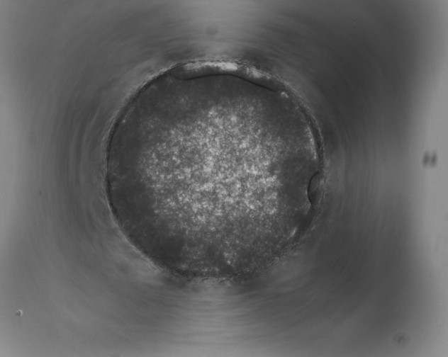 X0000112110673200909151225