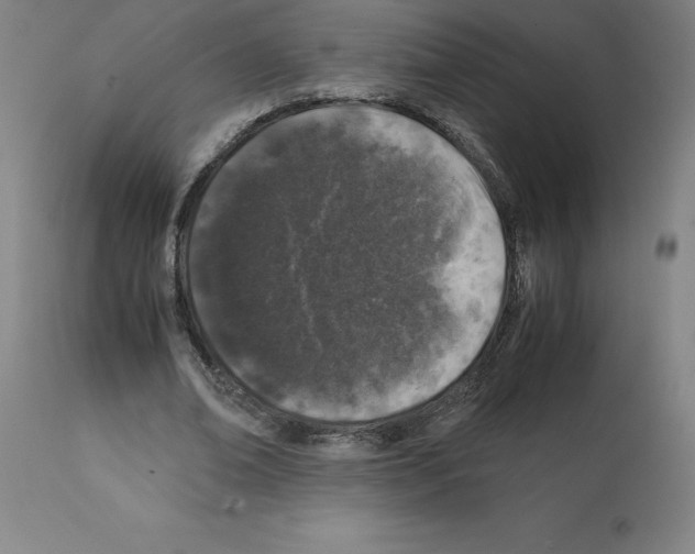 X0000112110678200909151225