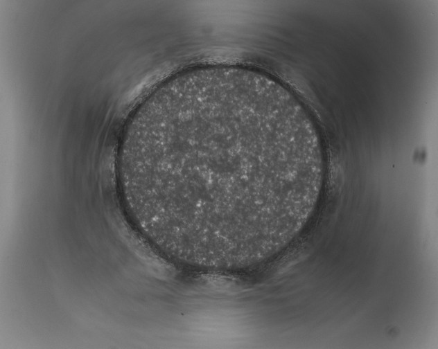 X0000112110681200909151225