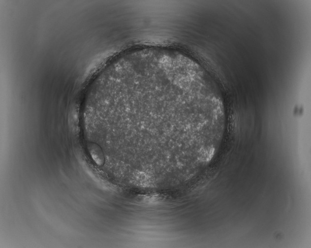 X0000112110688200909151225