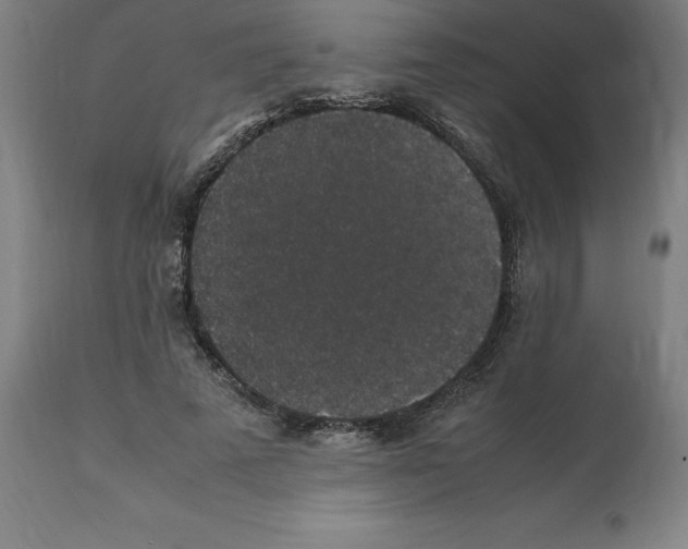 X0000112110689200909151224