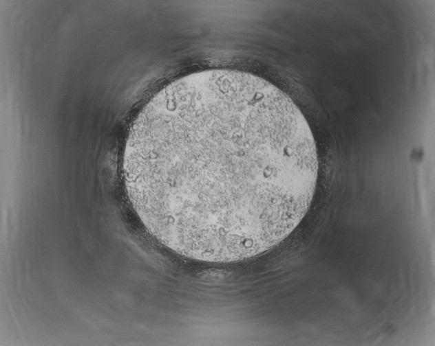 X0000112110691200909151224