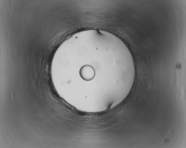 X0000112110693200909151224