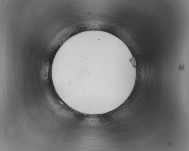 X0000112110694200909151224