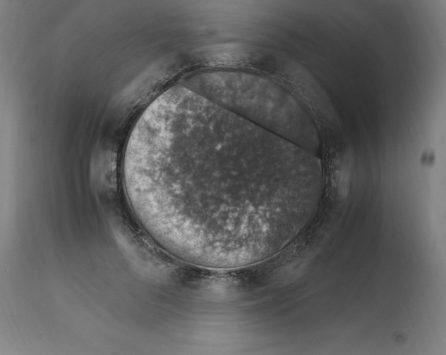 X0000112110696200909151224