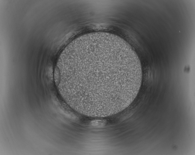 X0000112110700200909151224