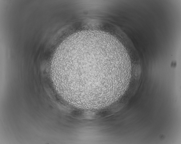 X0000112110701200909151224