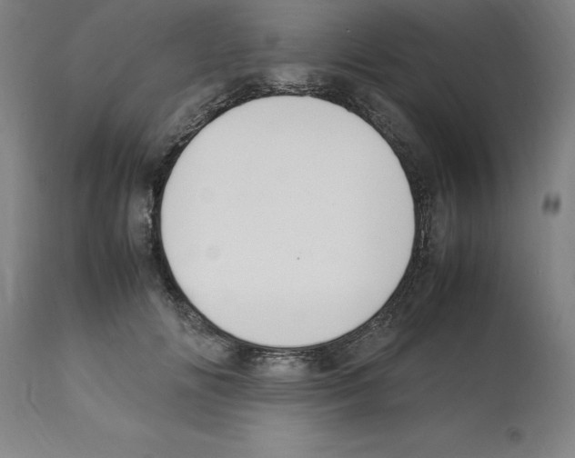 X0000112110702200909151224