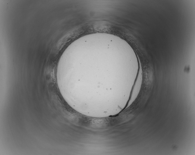 X0000112110705200909151224