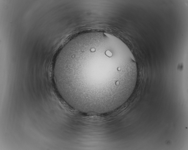 X0000112110708200909151224