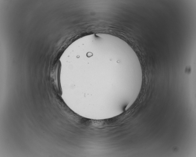 X0000112110709200909151224