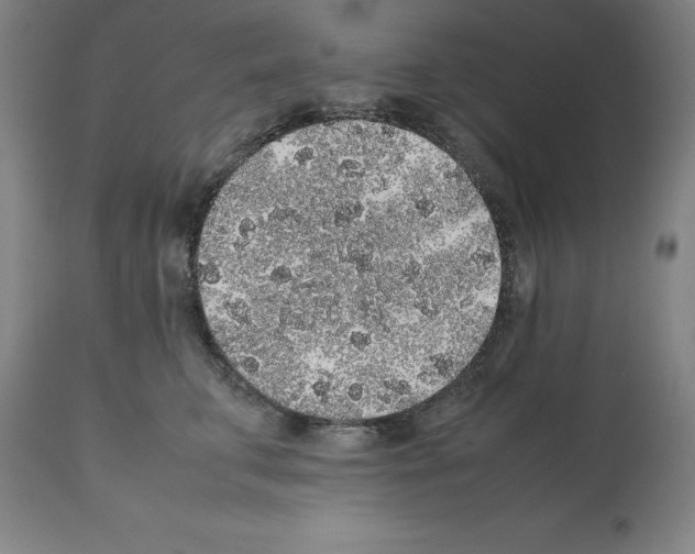 X0000112110711200909151224