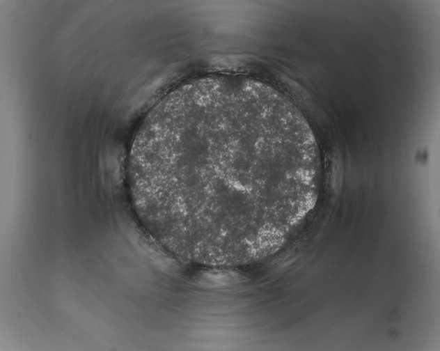 X0000112110712200909151224