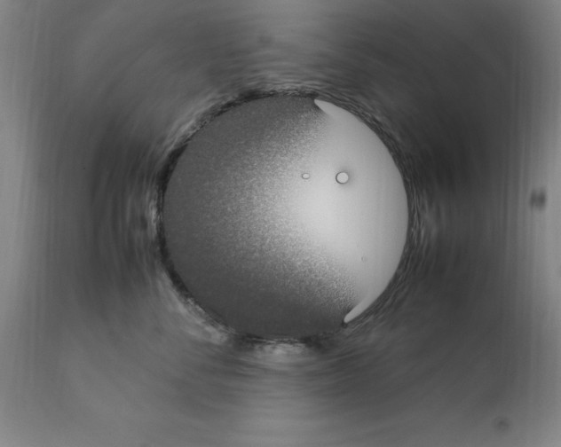 X0000112110716200909151224
