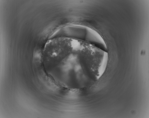 X0000112110720200909151224