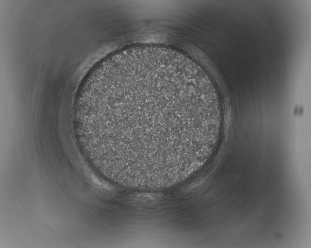 X0000112110721200909151223